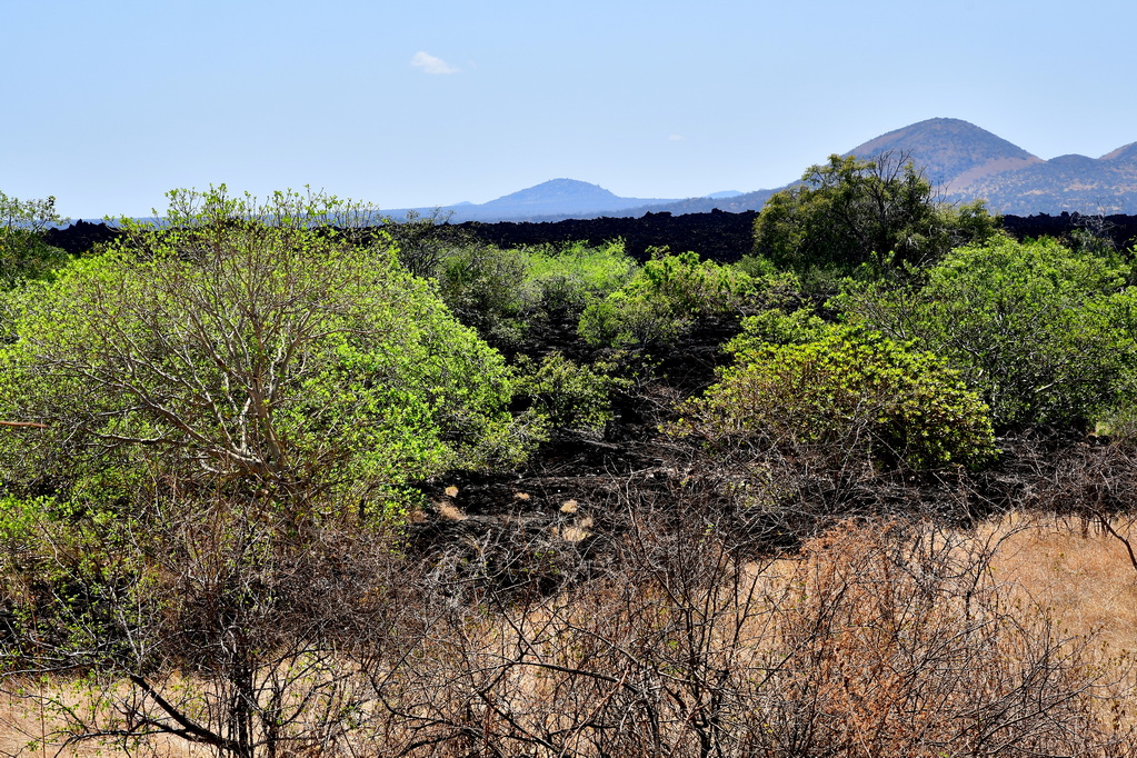 Tsavo West National Park